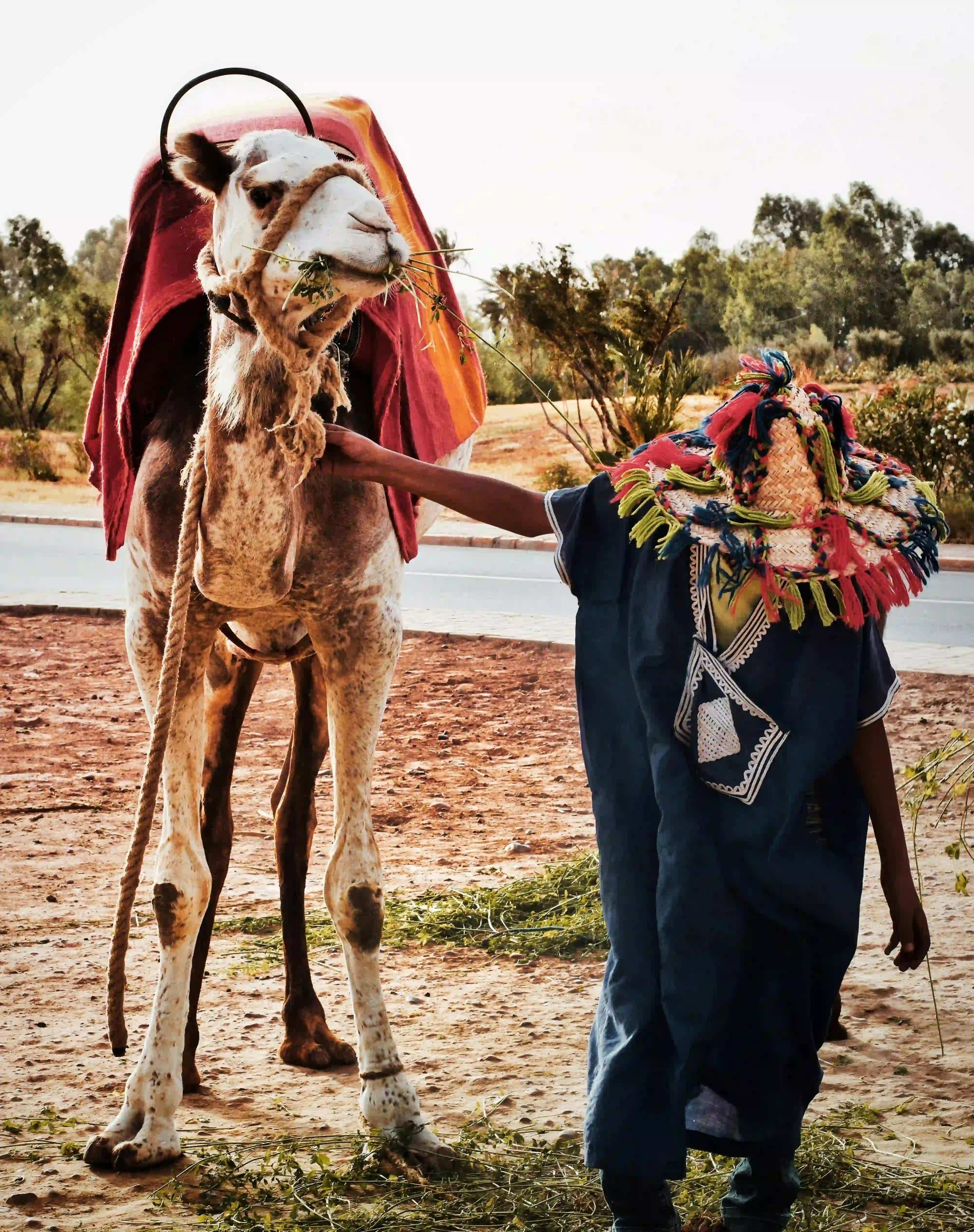 Balade à dos de chameau dans le désert marocain